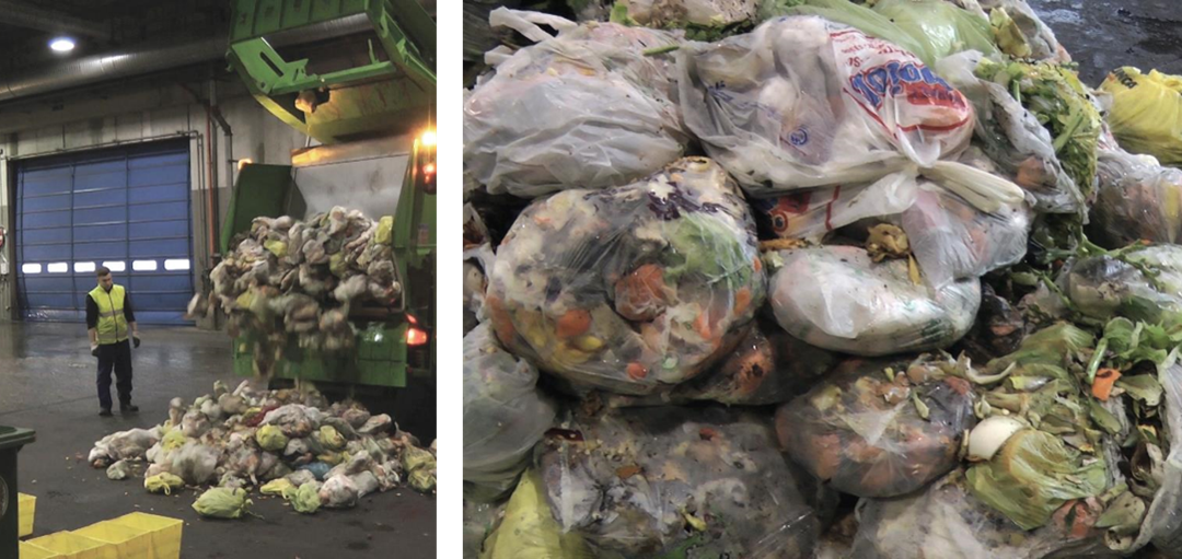Converting Agricultural Waste into Compostable Bags for OFMSW Collection